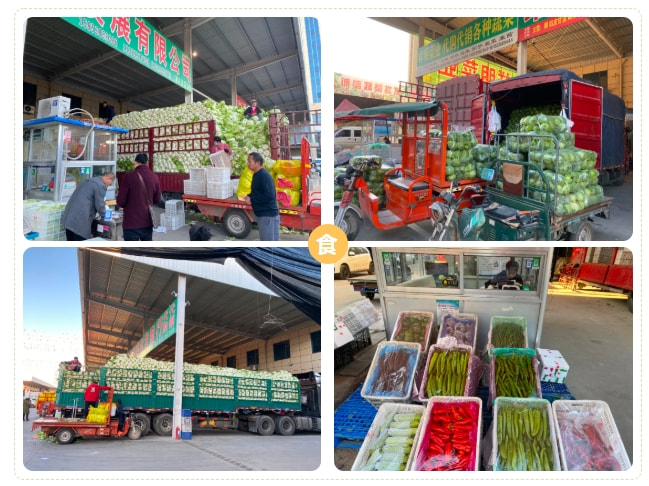 临沂茂华农产品批发市场,临沂农产品蔬菜批发市场