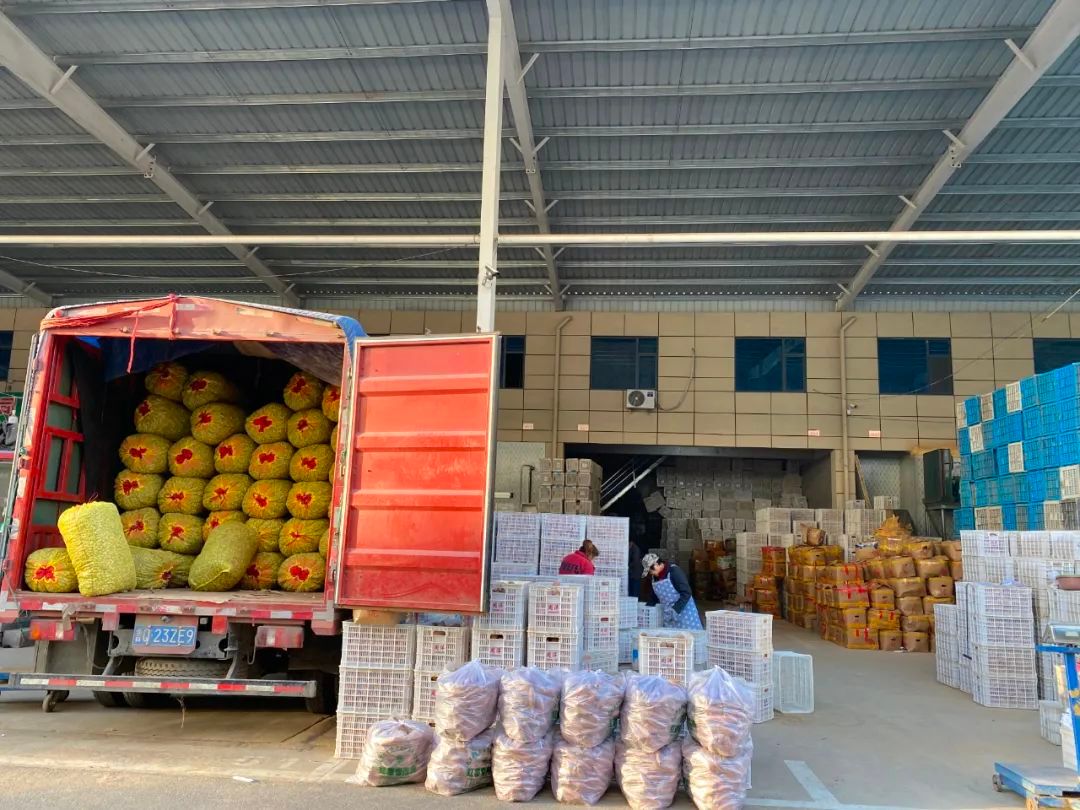 临沂茂华农产品批发市场,临沂农产品蔬菜批发市场