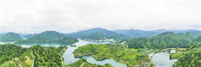 小众高端安化黑茶,一品千年