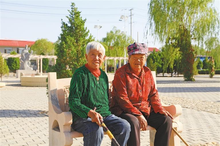 神木乡村振兴,神木狠抓产业发展助力乡村振兴