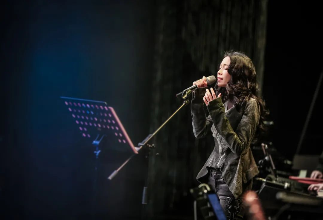 本周热门新歌速递,热门音乐新歌速递