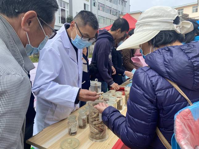 假虫草和真虫草区别,假虫草鉴别