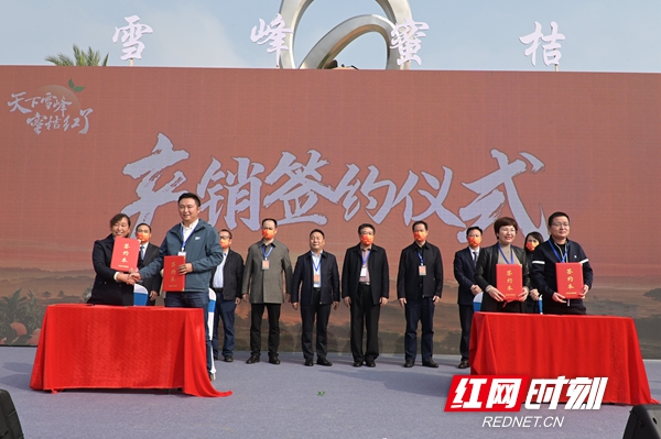 洞口雪峰蜜桔的来历,洞口雪峰蜜桔