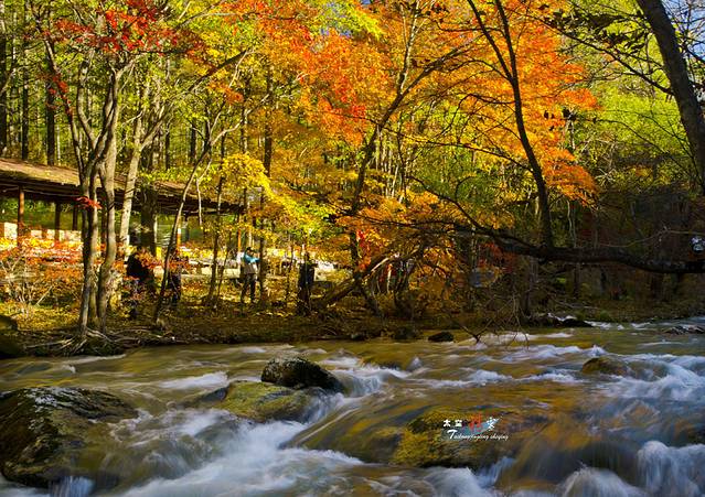 寒露已过秋风凉,寒露已过