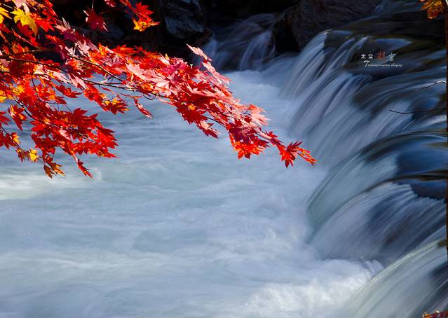 寒露已过秋风凉,寒露已过