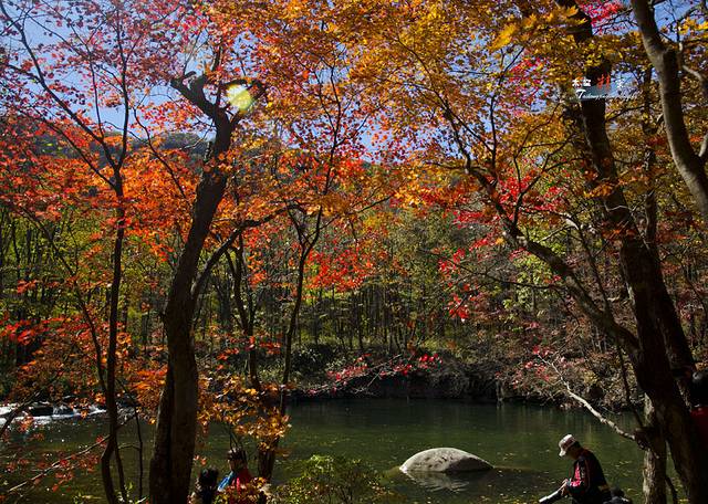寒露已过秋风凉,寒露已过