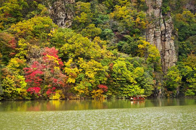 寒露已过秋风凉,寒露已过