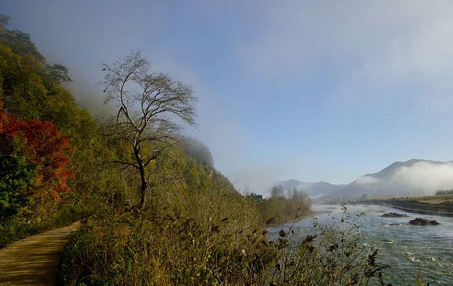 寒露已过秋风凉,寒露已过