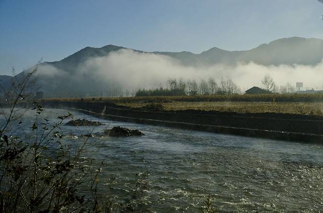 寒露已过秋风凉,寒露已过