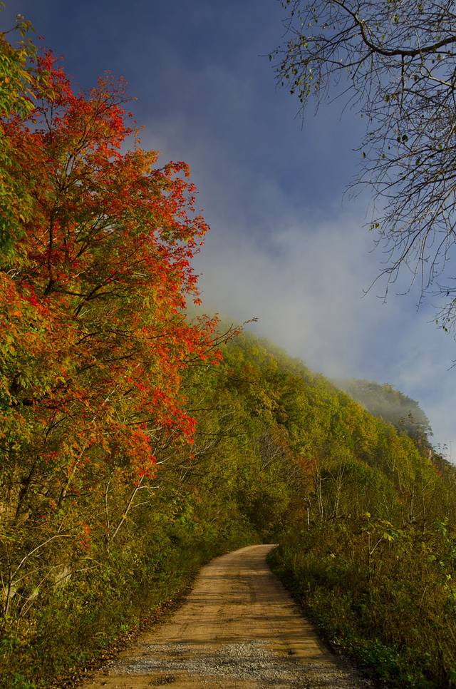 寒露已过秋风凉,寒露已过