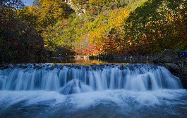 寒露已过秋风凉,寒露已过