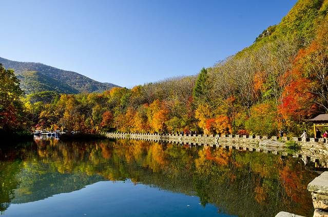 寒露已过秋风凉,寒露已过