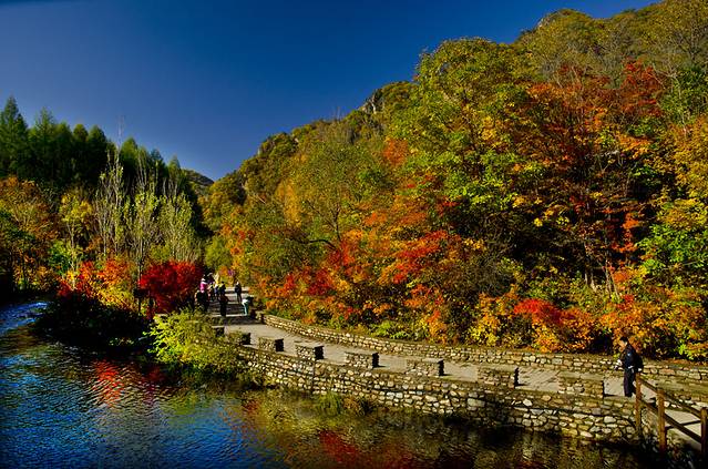 寒露已过秋风凉,寒露已过