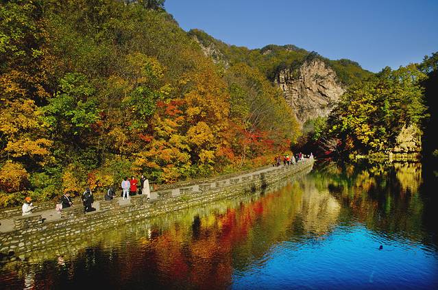 寒露已过秋风凉,寒露已过