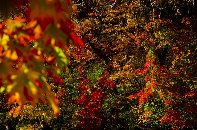 寒露已过秋风凉,寒露已过