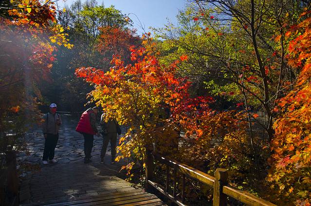 寒露已过秋风凉,寒露已过