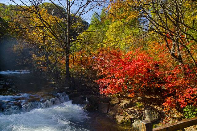 寒露已过秋风凉,寒露已过