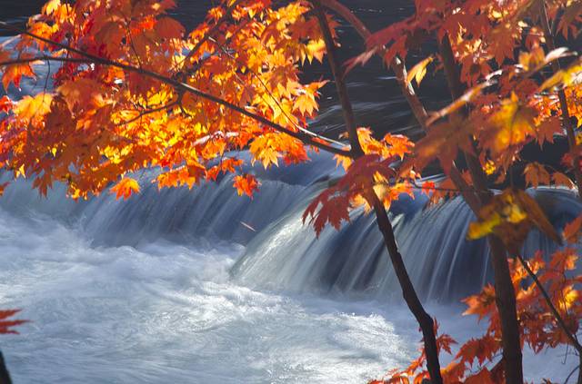 寒露已过秋风凉,寒露已过