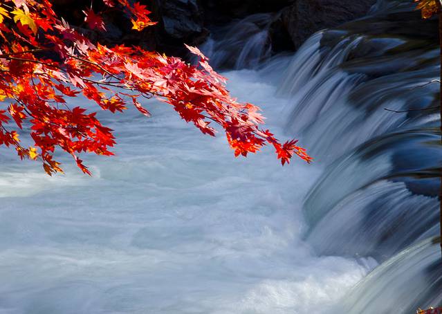 寒露已过秋风凉,寒露已过