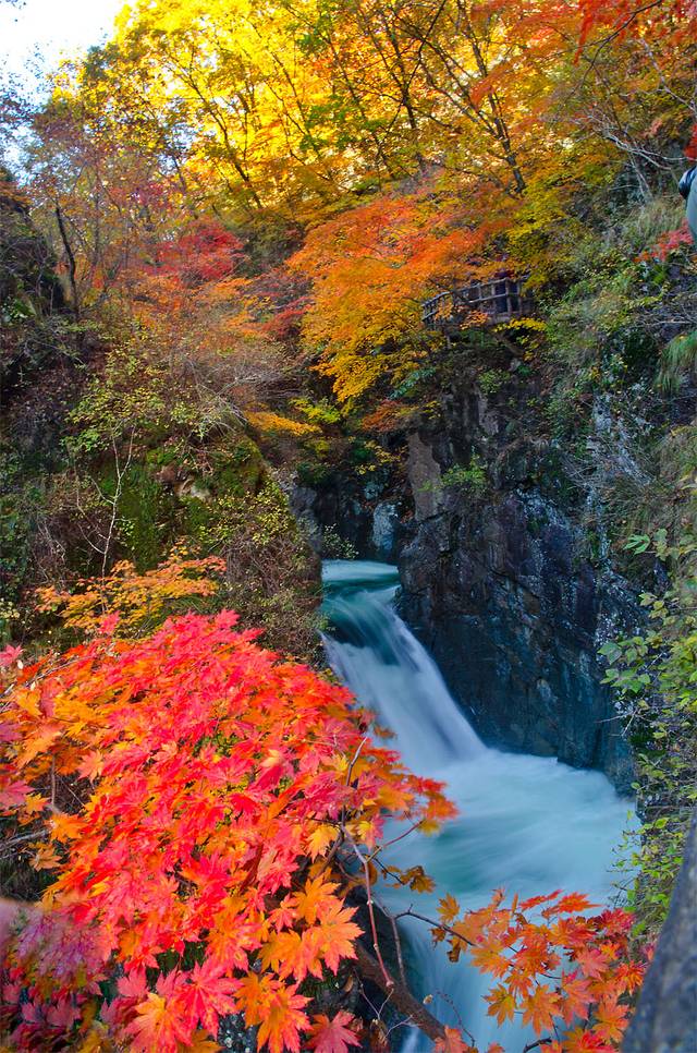 寒露已过秋风凉,寒露已过