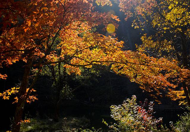 寒露已过秋风凉,寒露已过