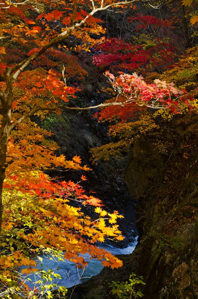 寒露已过秋风凉,寒露已过