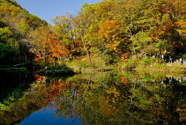 寒露已过秋风凉,寒露已过