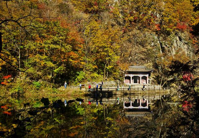 寒露已过秋风凉,寒露已过