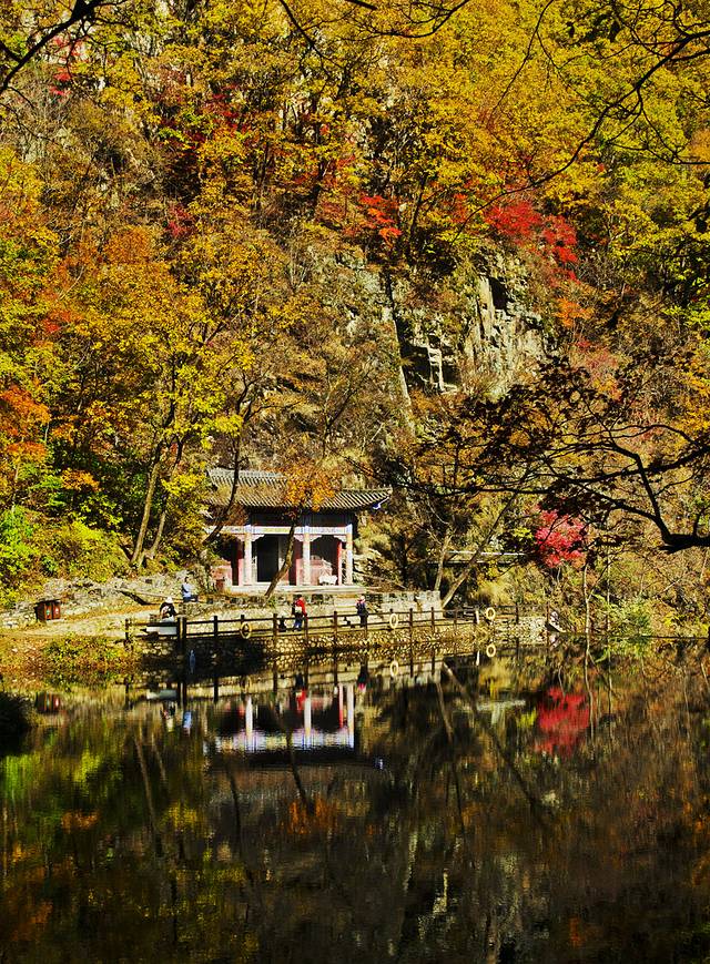 寒露已过秋风凉,寒露已过