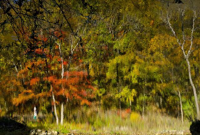 寒露已过秋风凉,寒露已过