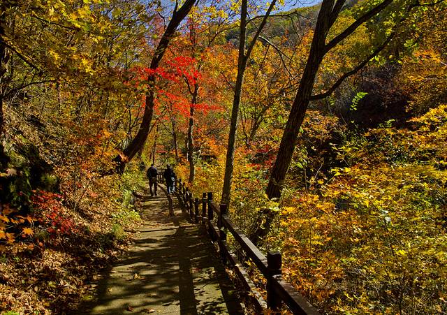 寒露已过秋风凉,寒露已过
