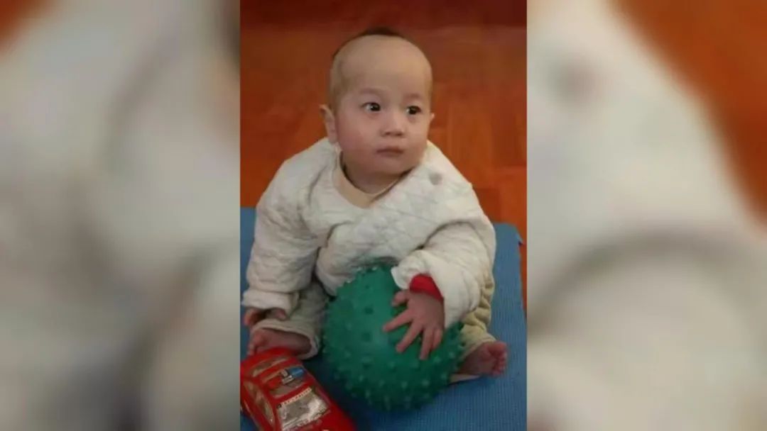 澳大利亚男孩回中国寻找亲生父母,华裔寻找亲生父母