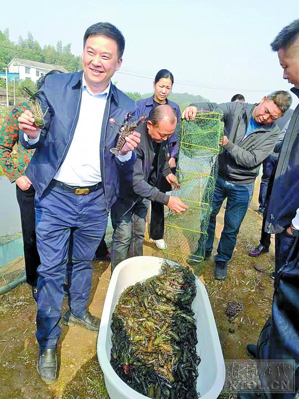 养殖青虾加盟网站,青虾养殖投资