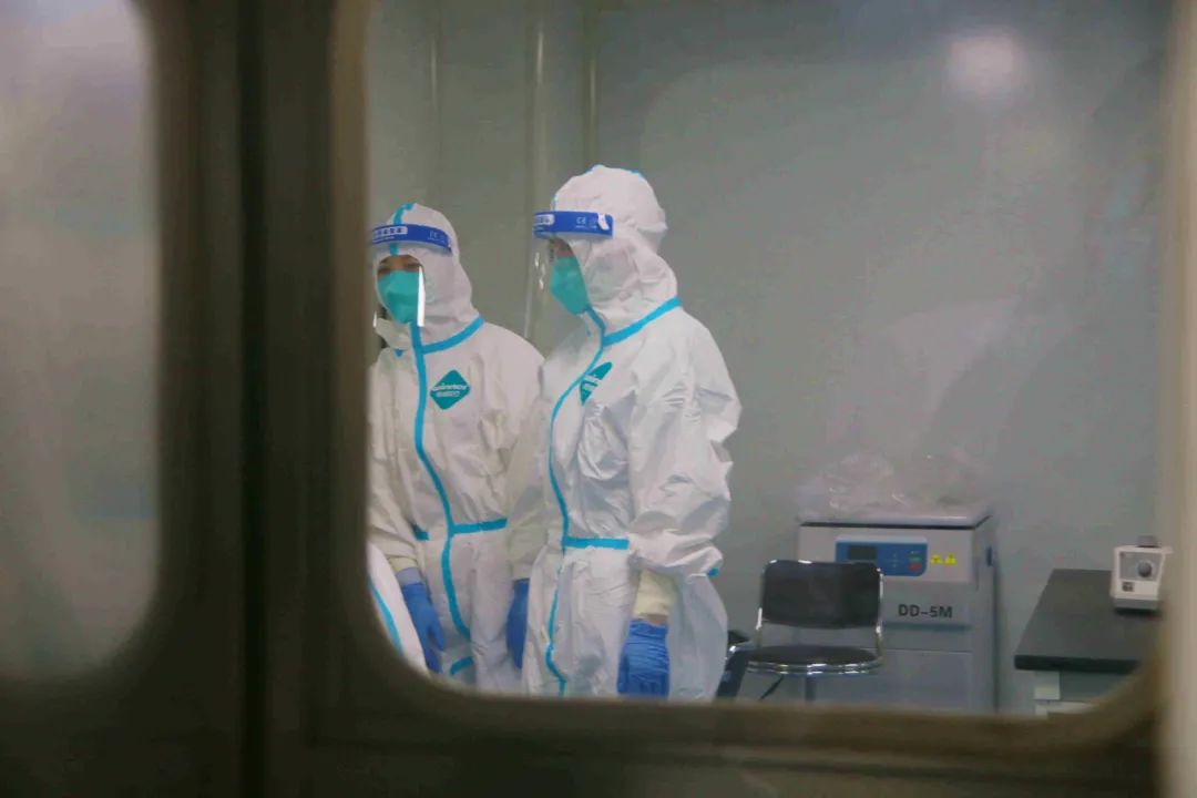 抗击新冠肺炎疫情工作纪实,抗击武汉疫情众志成城视频