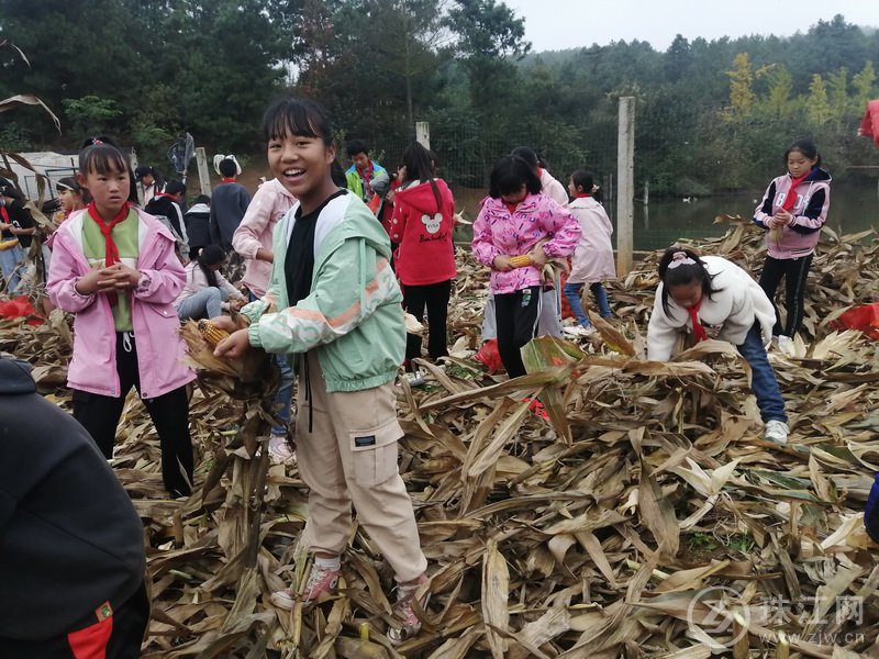 靖外明德小学创新模式,宣威市靖外明德小学教学质量