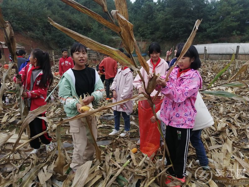 靖外明德小学创新模式,宣威市靖外明德小学教学质量
