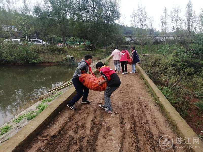 靖外明德小学创新模式,宣威市靖外明德小学教学质量