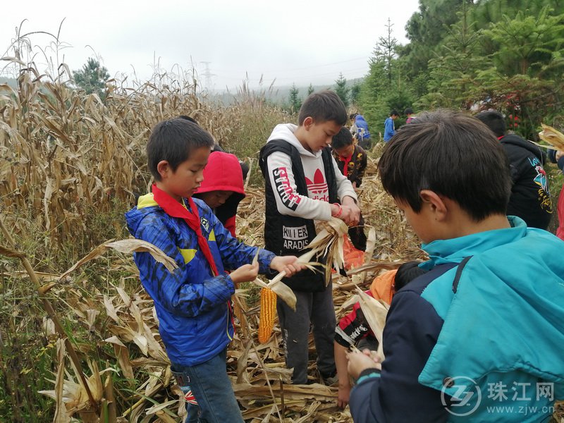 靖外明德小学创新模式,宣威市靖外明德小学教学质量