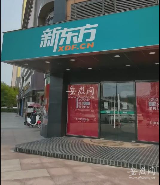 新东方回应停止直播课,新东方在线教育培训官网