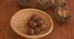 秋冬补肾正当时的方子,春夏秋冬补肾正确方法