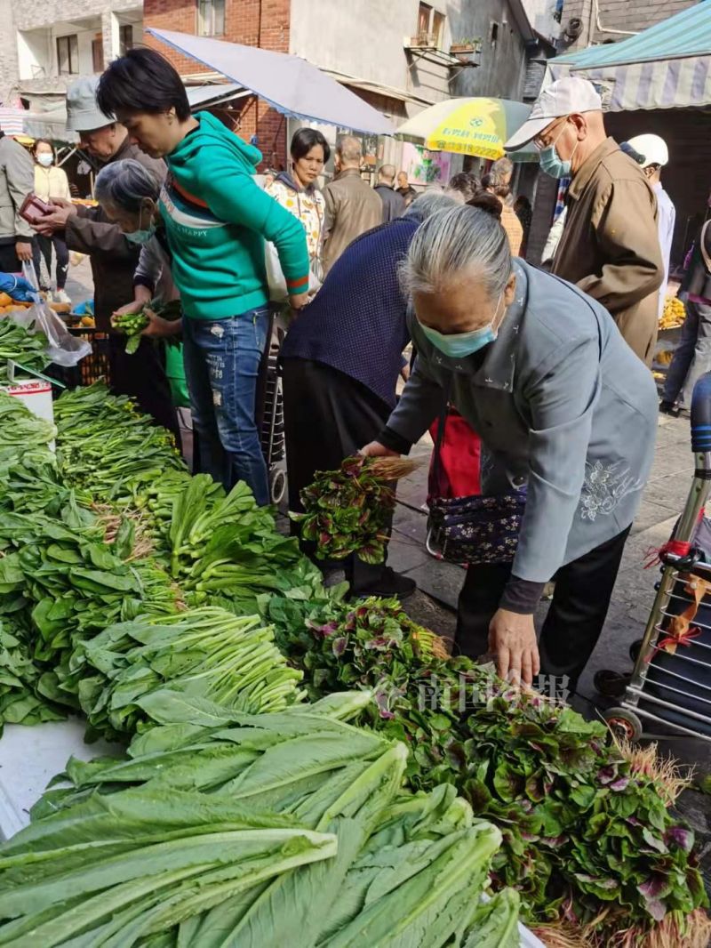 “快吃不起青菜了”？在柳州菜市，部分青菜比猪肉还贵几块钱