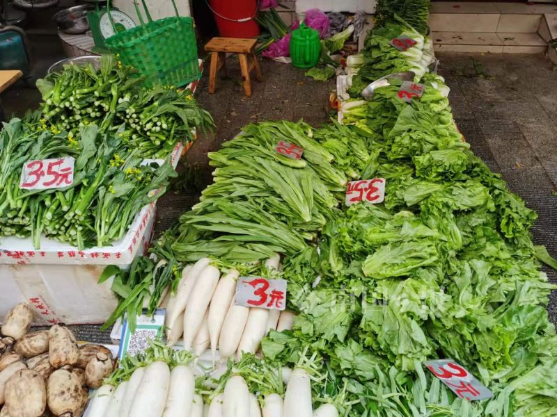 “快吃不起青菜了”？在柳州菜市，部分青菜比猪肉还贵几块钱
