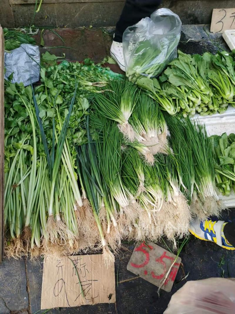 “快吃不起青菜了”？在柳州菜市，部分青菜比猪肉还贵几块钱