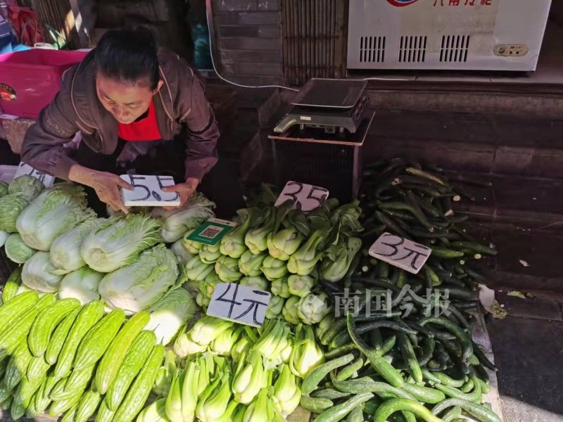 “快吃不起青菜了”？在柳州菜市，部分青菜比猪肉还贵几块钱