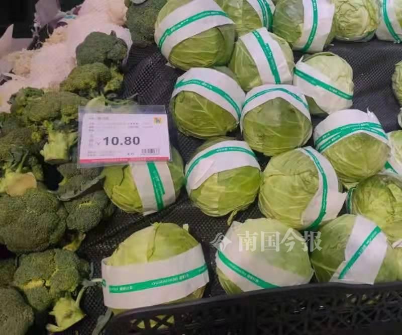 “快吃不起青菜了”？在柳州菜市，部分青菜比猪肉还贵几块钱