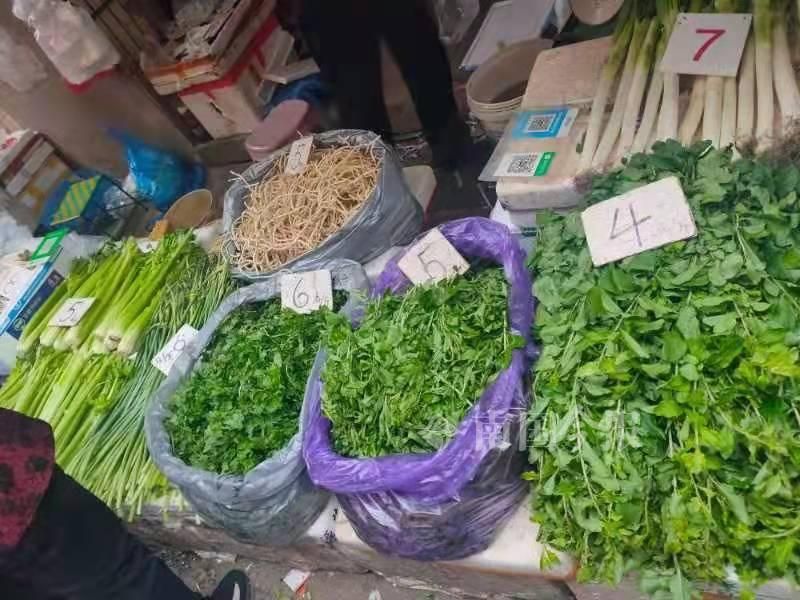 “快吃不起青菜了”？在柳州菜市，部分青菜比猪肉还贵几块钱