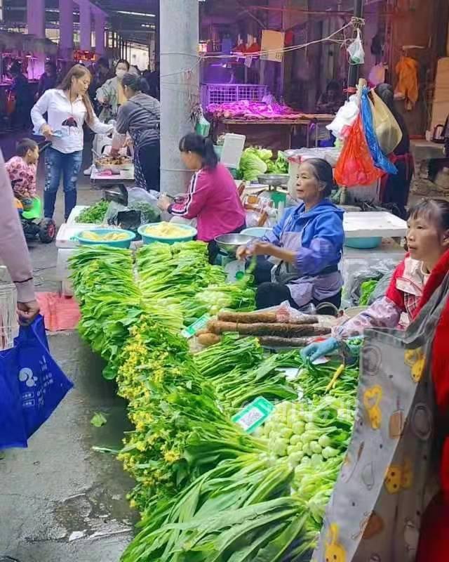 “快吃不起青菜了”？在柳州菜市，部分青菜比猪肉还贵几块钱
