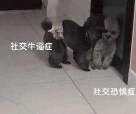 从社交恐惧症到社交达人,社交焦虑障碍社交恐惧症