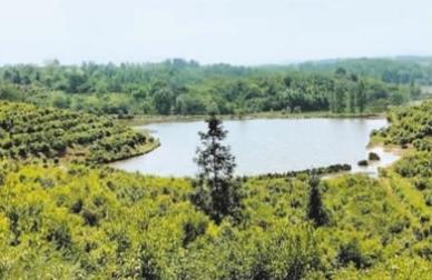 探访林草科研国家队中国林科院——他们把论文写在祖国大地上