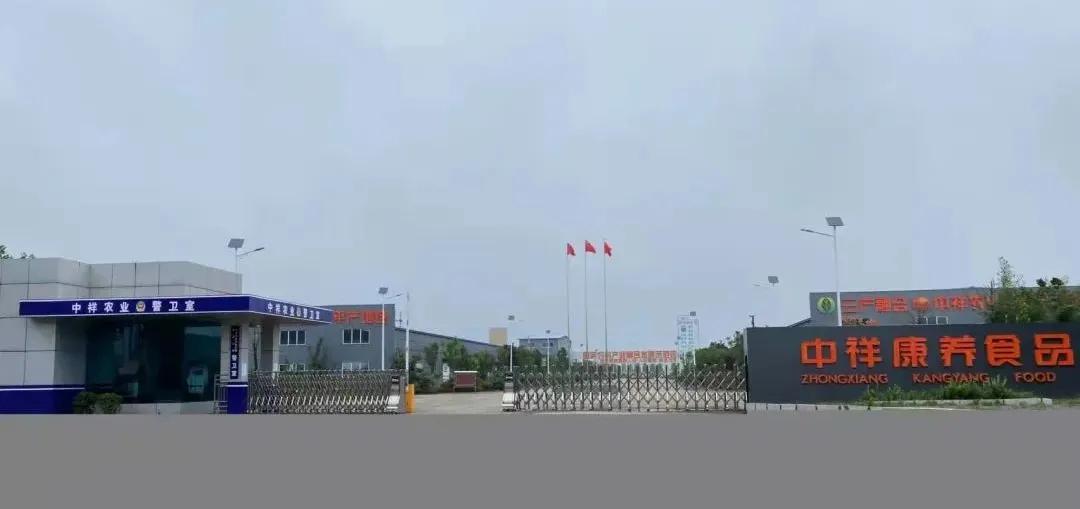 商机|食品厂转让；求彩色汤圆、速冻素菜；供野菜水饺、水晶馄饨